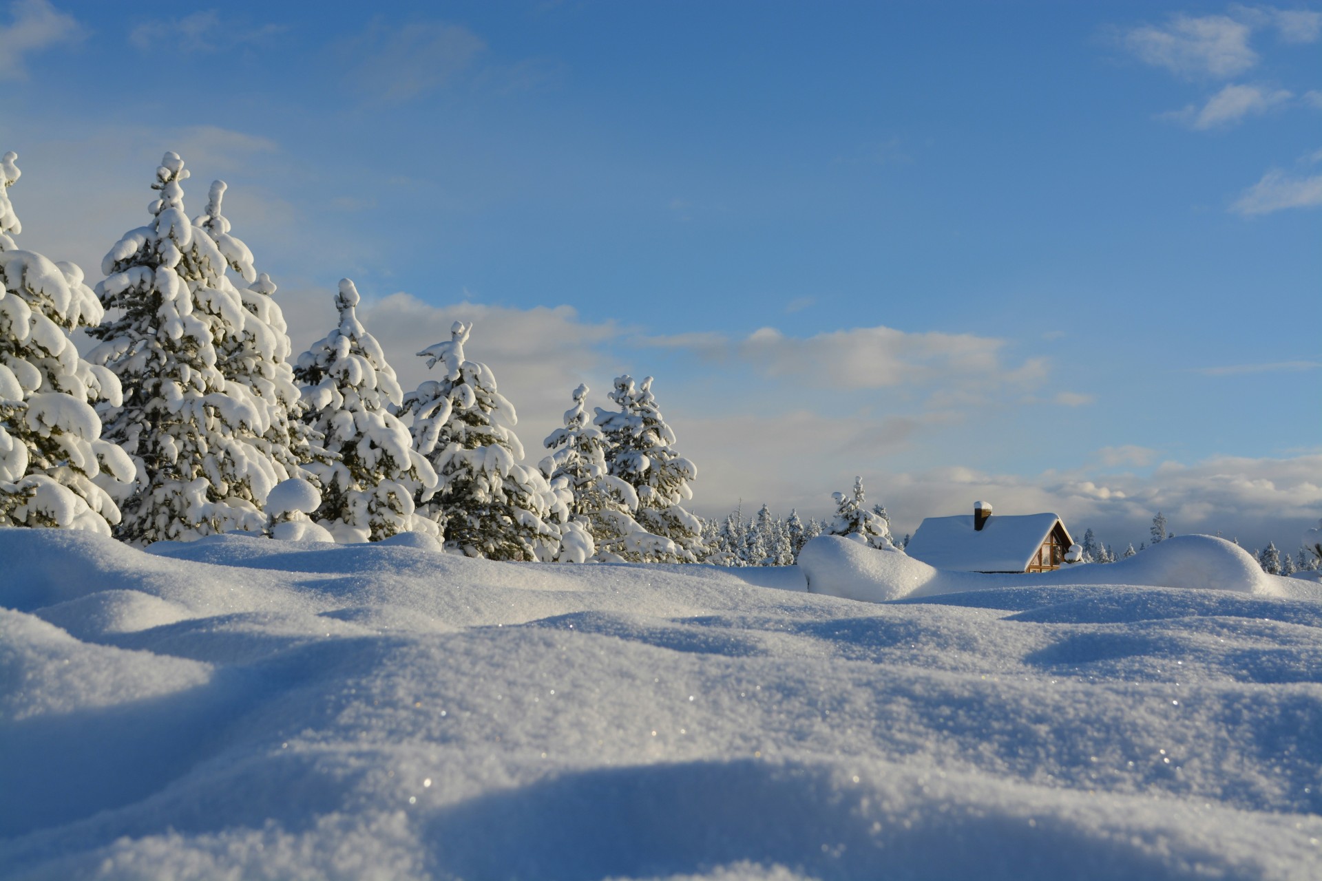 Overwinteren